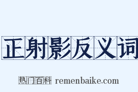 正射影反义词是什么意思的图片